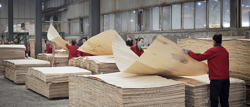 人造板力學性能的高精度測試 人造板力學性能的高精度測試